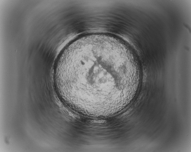 X0000100311325200806261153