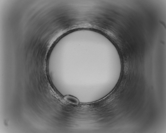 X0000100311326200806261153