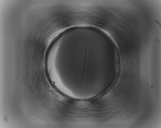 X0000100311327200806261153