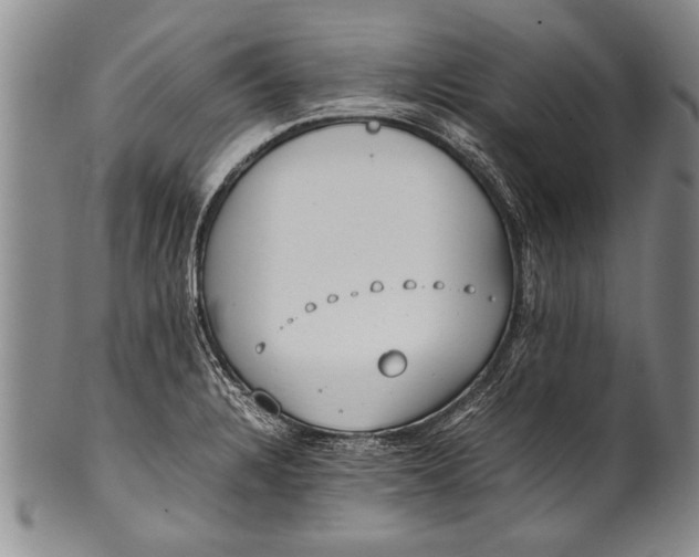 X0000100311328200806261153