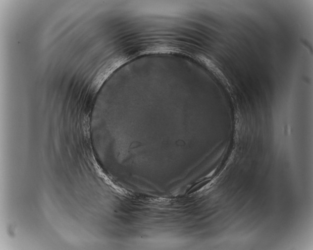 X0000100311329200806261153