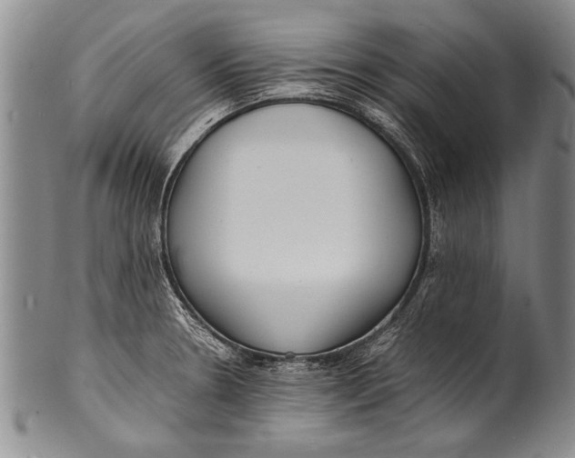 X0000100311330200806261153