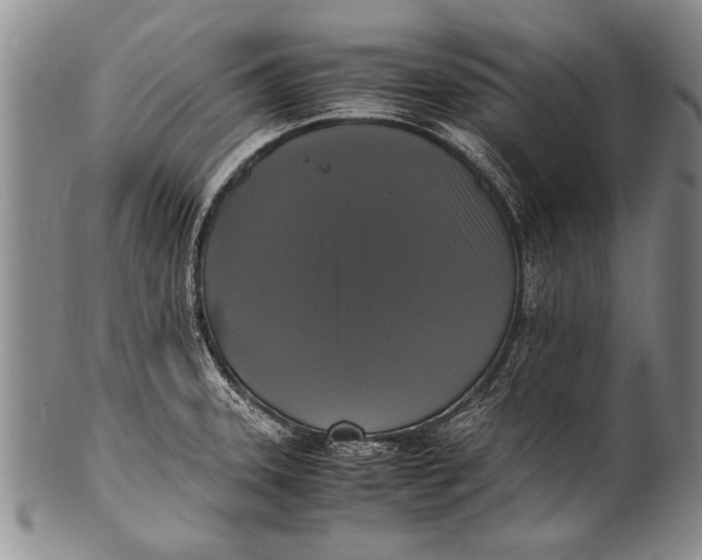 X0000100311331200806261153