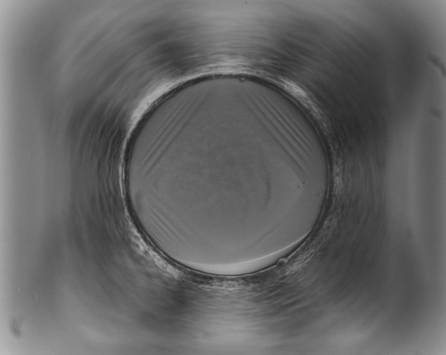 X0000100311334200806261153