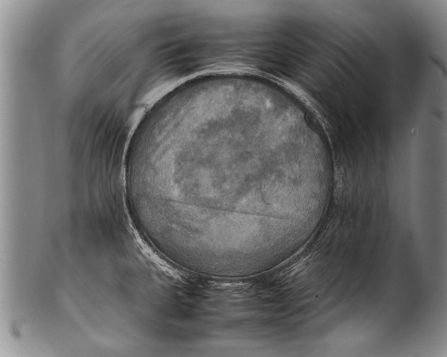 X0000100311335200806261153