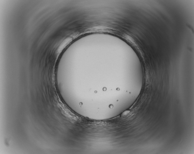 X0000100311336200806261153