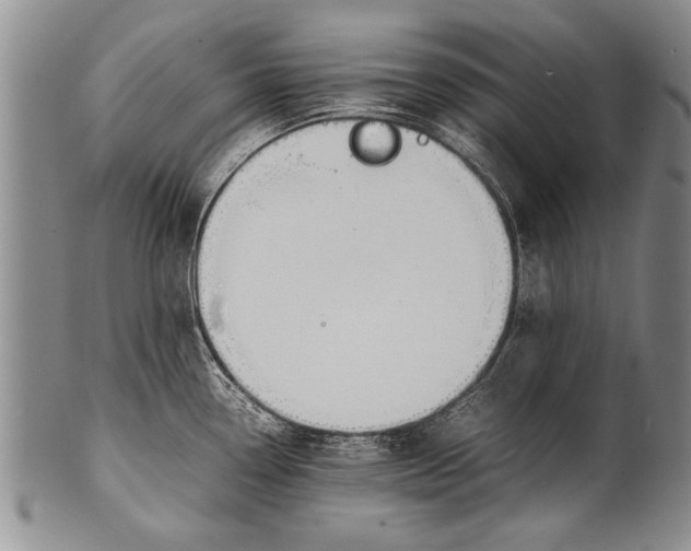 X0000100311338200806261153