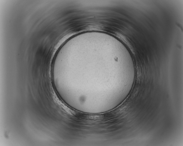 X0000100311339200806261153