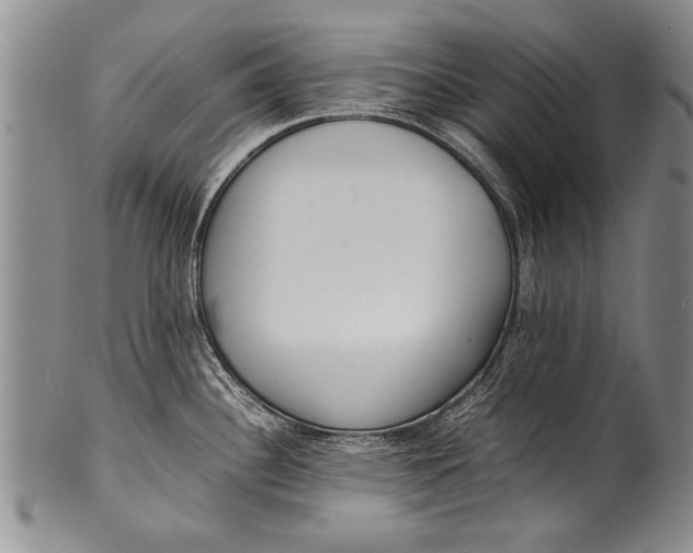 X0000100311340200806261153