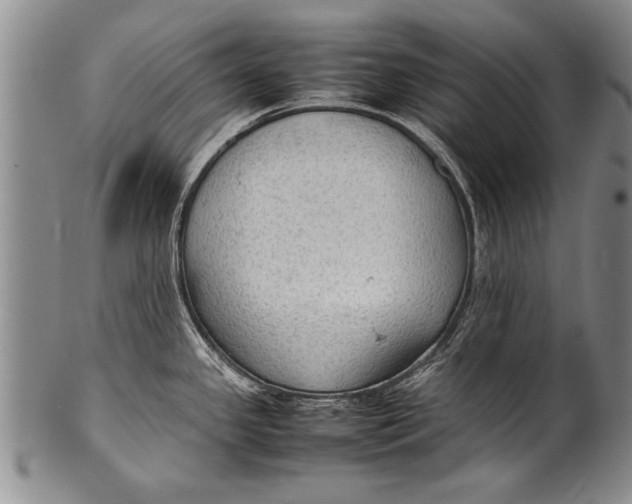 X0000100311341200806261153