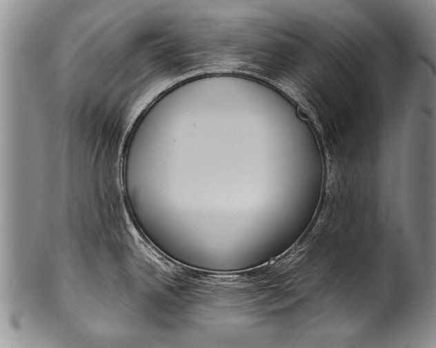 X0000100311342200806261153