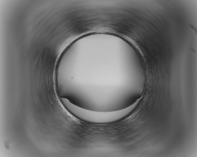 X0000100311343200806261153