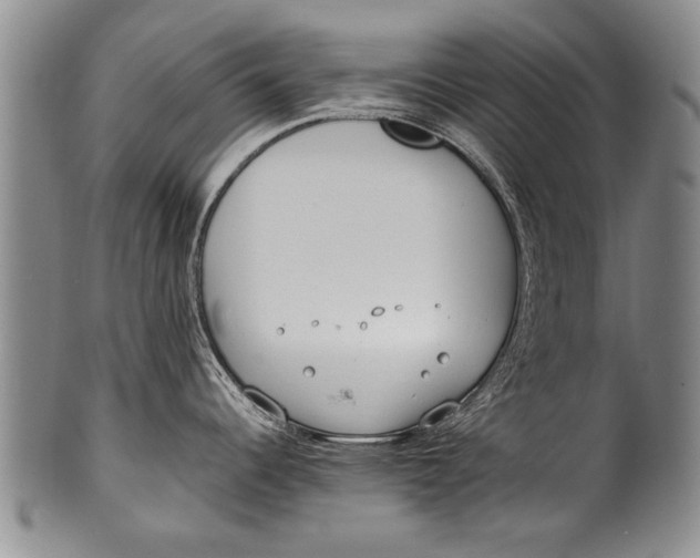 X0000100311344200806261153