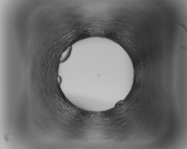 X0000100311345200806261153