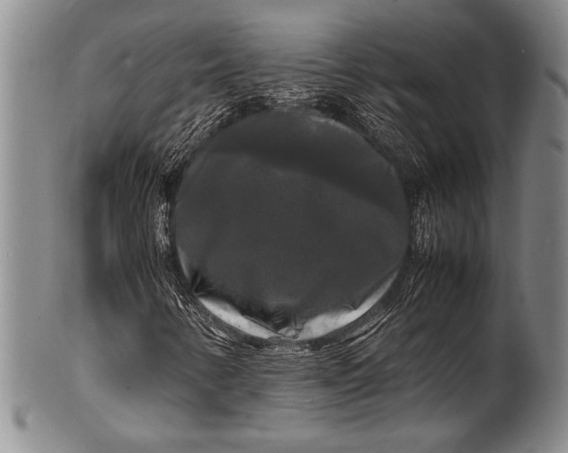 X0000100311346200806261153