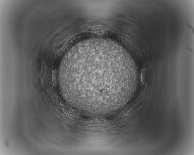 X0000100311347200806261153