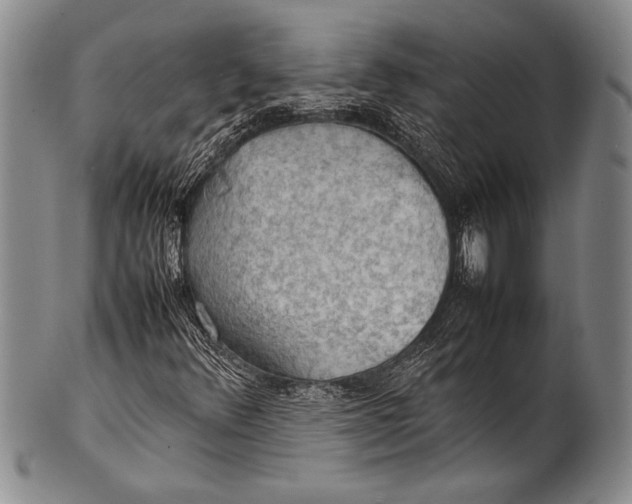 X0000100311348200806261152