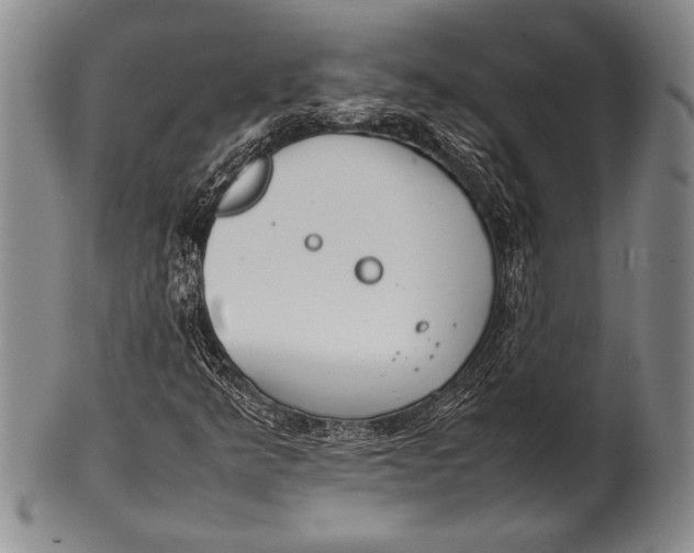 X0000100311349200806261152