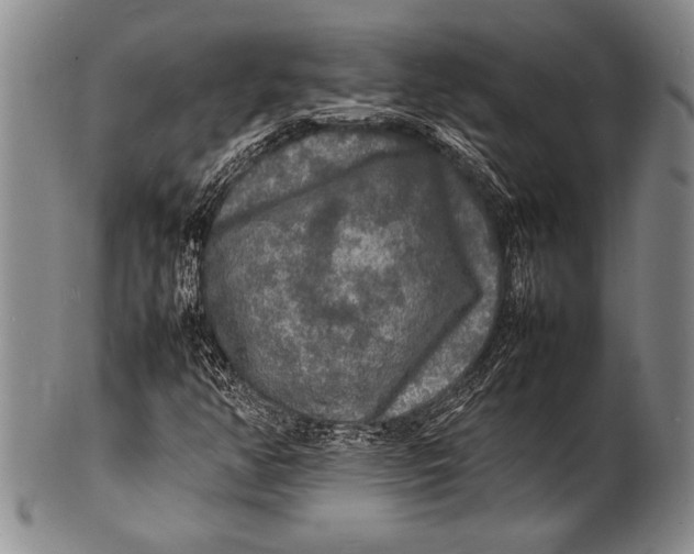 X0000100311350200806261152