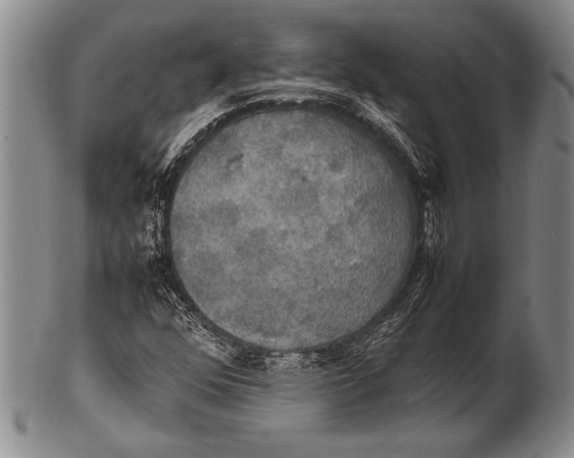 X0000100311352200806261152