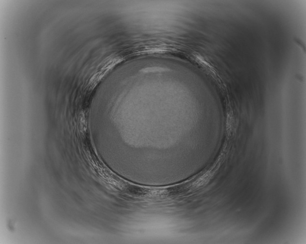 X0000100311353200806261152