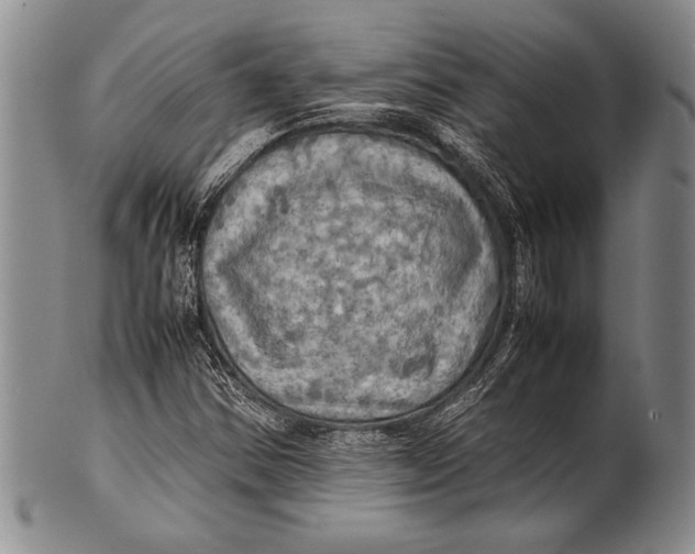 X0000100311354200806261152