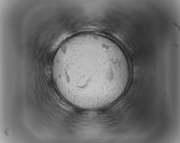 X0000100311355200806261152