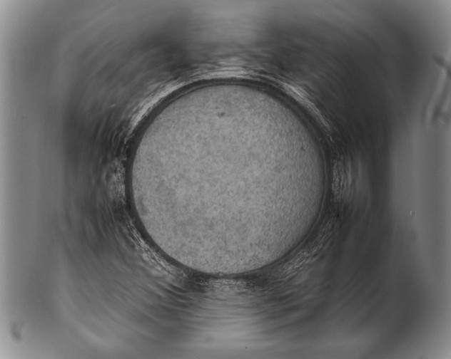 X0000100311356200806261152