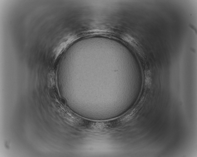 X0000100311357200806261152