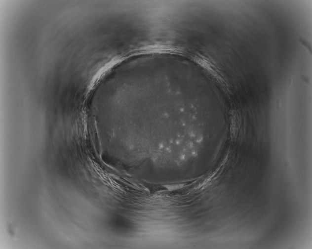 X0000100311358200806261152