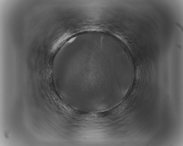 X0000100311359200806261152