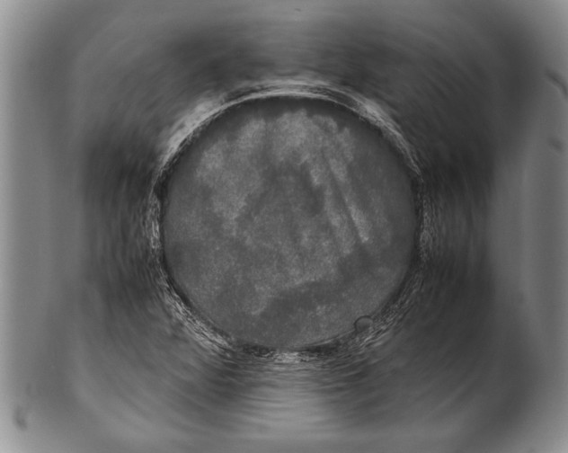 X0000100311360200806261152