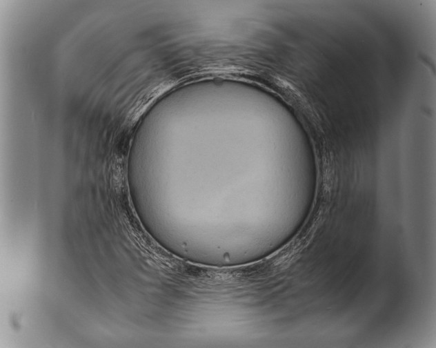 X0000100311361200806261152