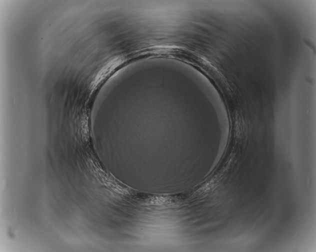 X0000100311362200806261152