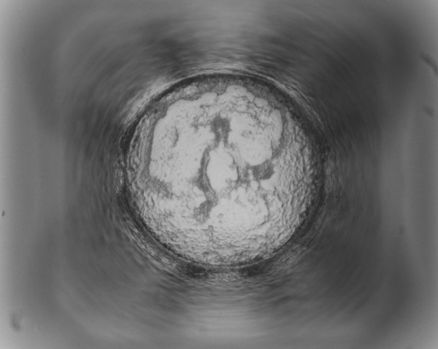 X0000100311363200806261152