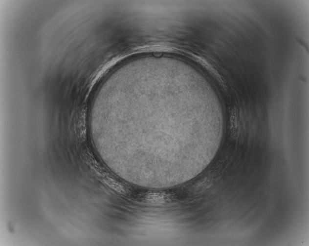 X0000100311364200806261152