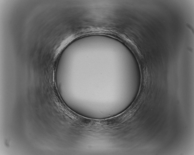 X0000100311365200806261152