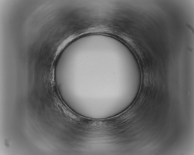 X0000100311366200806261152