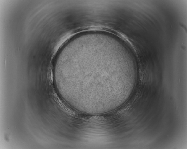 X0000100311368200806261152