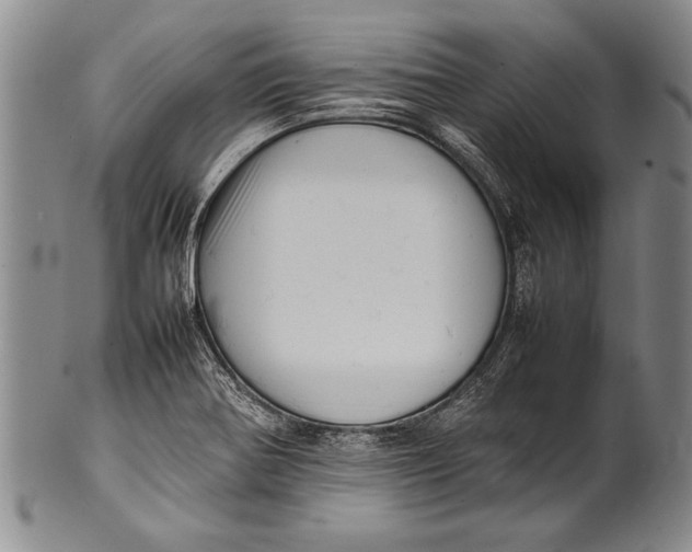 X0000100311370200806261152