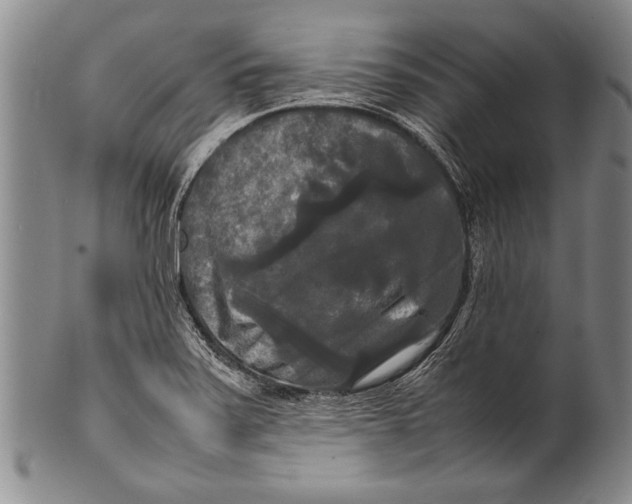 X0000100311371200806261152