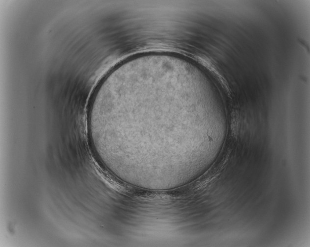 X0000100311372200806261152