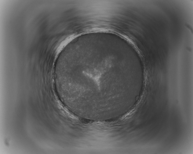 X0000100311373200806261152