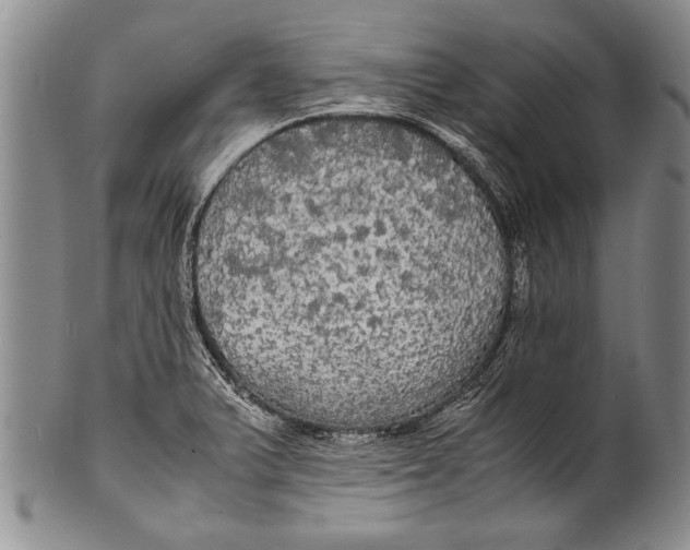 X0000100311375200806261152