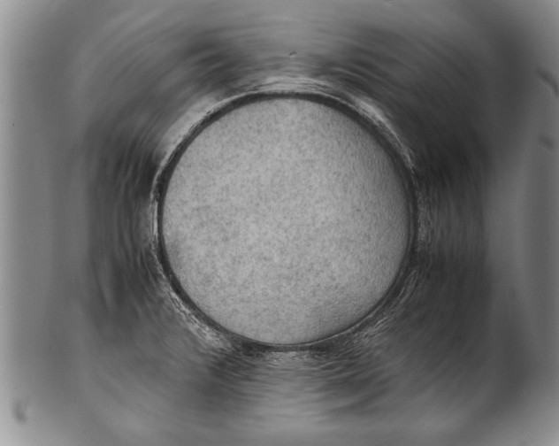 X0000100311376200806261152