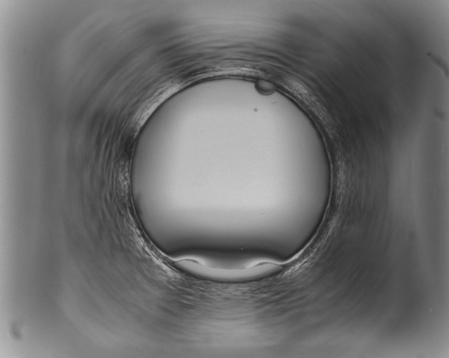 X0000100311377200806261152