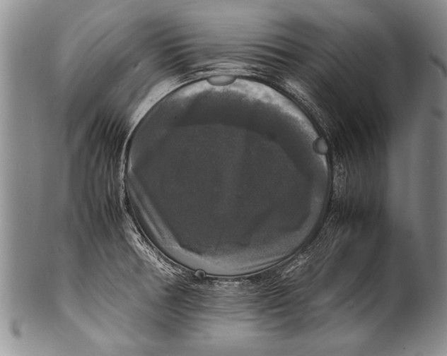 X0000100311378200806261152