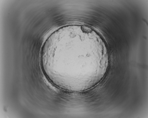 X0000100311379200806261152