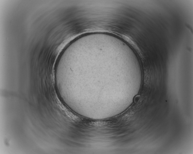 X0000100311380200806261152