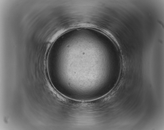 X0000100311381200806261152